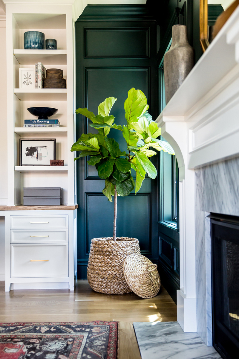 How To Pair Plants With Your Living Room Decor! Santa barbara design center -
