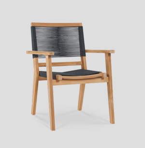 Olly Arm Chair santa barbara design center-